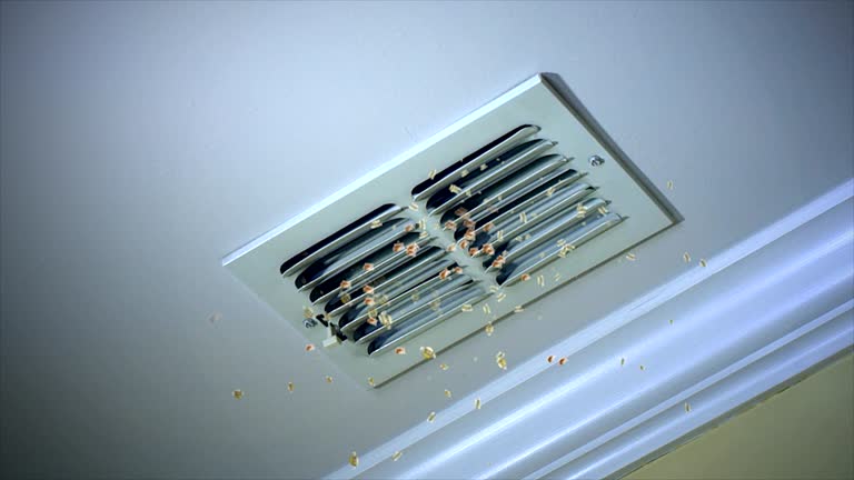 Best Air Duct Cleaning Near Me  in Dalzell, SC